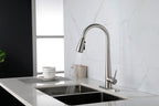 Single Handle Stainless Steel Kitchen Sink Faucet with Pull Down Sprayer
