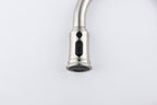 Kitchen Faucet with Pull Down Sprayer