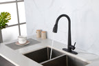 Single Handle Stainless Steel Kitchen Sink Faucet with Pull Down Sprayer