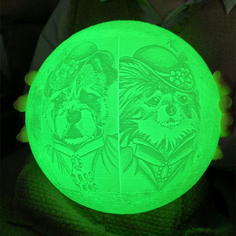 Custom photo Moon Lamp