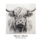Baha Ranch Black White Highland Velvety Soft Pillow Cover Made in America Baha Ranch Western Wear