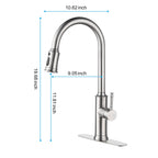 Kitchen Faucet with Pull Down Sprayer