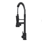 Bothwa Home CUPC Certified 19' Single Handle Kitchen Faucet (Matt Black Finish)