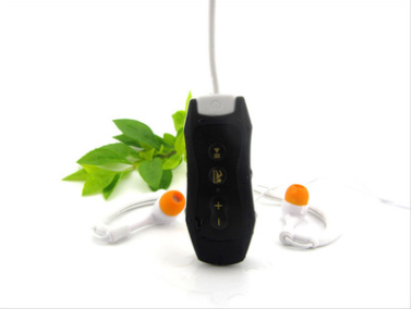 MP3 Music Player