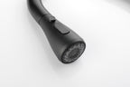 Kitchen Faucet with Pull Out Spraye