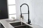 Spring kitchen faucet with pull-out sprayer, stainless steel single handle single hole kitchen sink faucet
