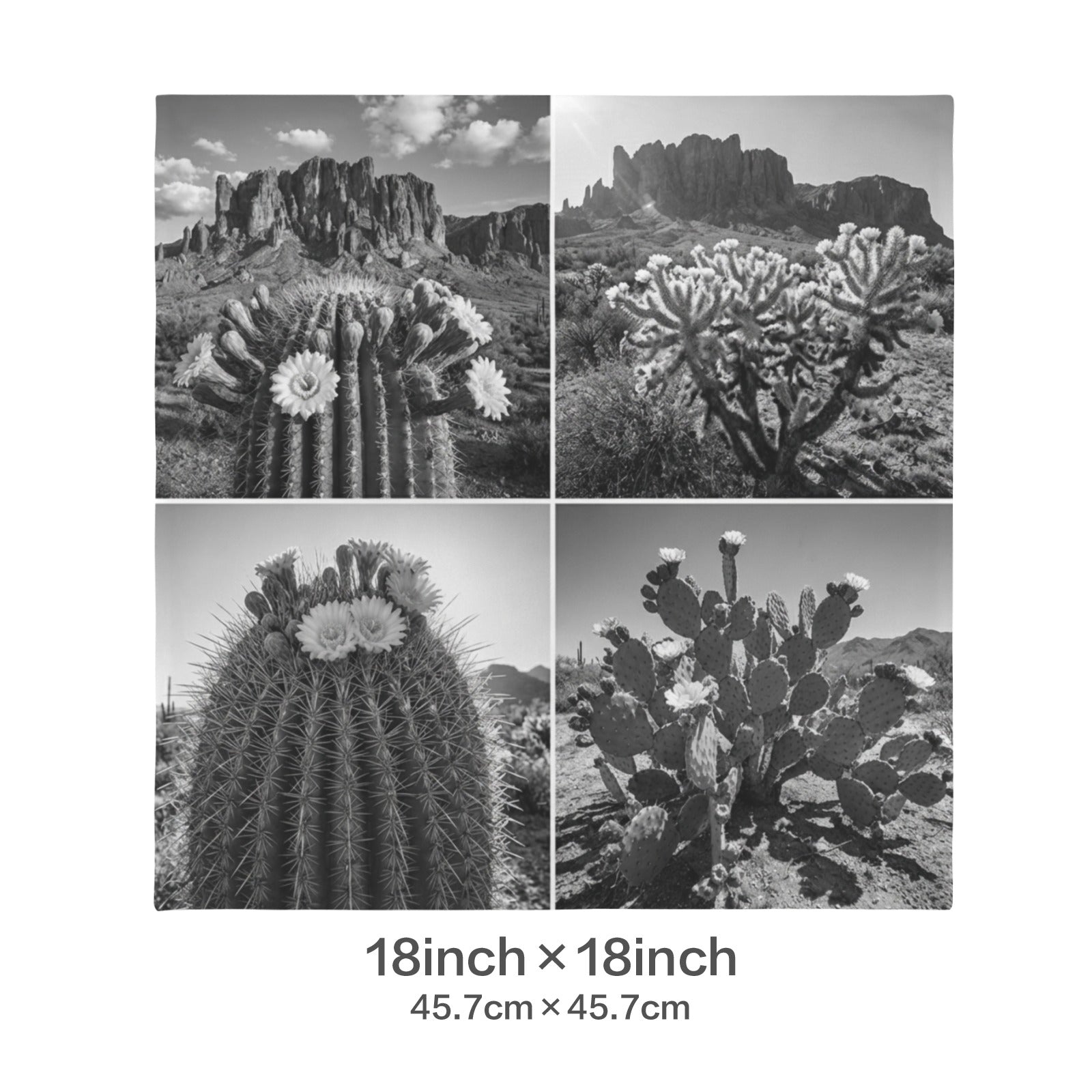 Baha Ranch Black White Cactus Velvety Soft Pillow Case Made in America Baha Ranch Western Wear