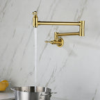 Wall Mount Folding Kitchen Pot Filler Faucet