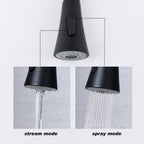 Kitchen Faucet with Pull Out Sprayer