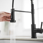 Kitchen Faucet with Pull Down Sprayer Black Stainless Steel Single Handle Pull Out Spring Sink Faucets