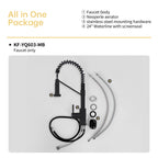 Bothwa Home CUPC Certified 19' Single Handle Kitchen Faucet (Matt Black Finish)