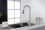 Single Handle Stainless Steel Kitchen Sink Faucet with Pull Down Sprayer