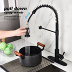 Kitchen Faucet with Pull Out Spraye