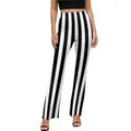 Baha Ranch Beetlejuice Striped Flare Pants Baha Ranch Western Wear