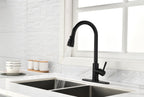 Kitchen Faucet with Pull Out Spraye
