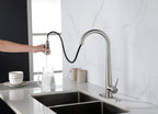 Single Handle Stainless Steel Kitchen Sink Faucet with Pull Down Sprayer
