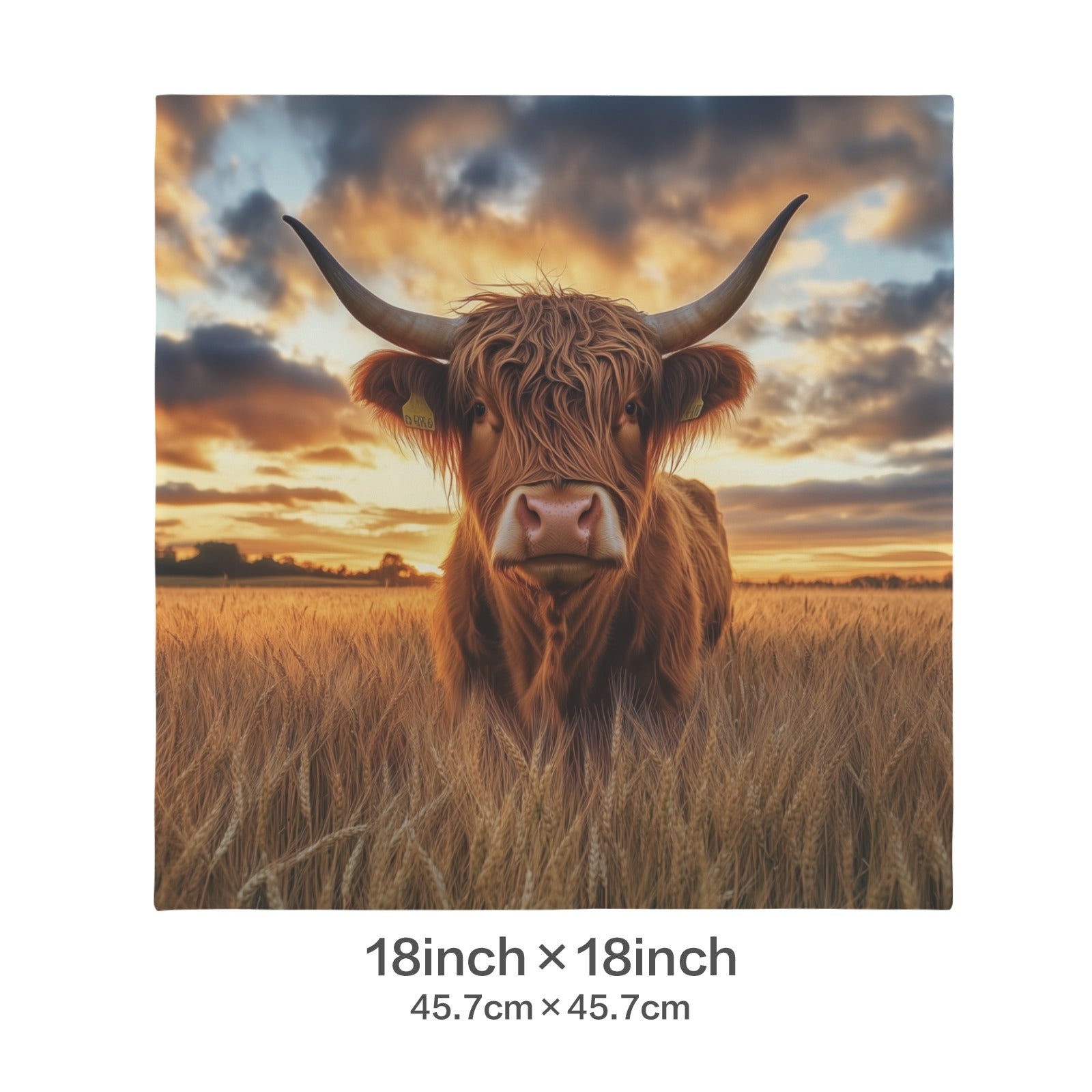 Baha Ranch Beautiful Highland Velvety Soft Pillow Cover Made in America Baha Ranch Western Wear