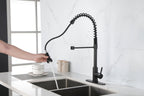 Spring kitchen faucet with pull-out sprayer, stainless steel single handle single hole kitchen sink faucet