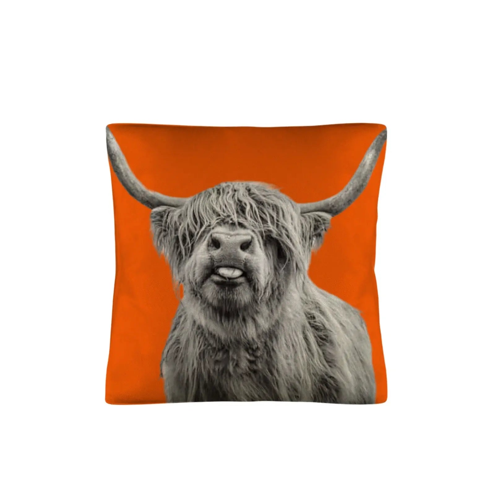 Silly HIghland Throw Pillow Case Made in America Baha Ranch Western Wear