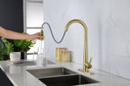 Single Handle Stainless Steel Kitchen Sink Faucet with Pull Down Sprayer