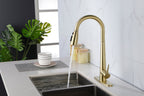 Single Handle Stainless Steel Kitchen Sink Faucet with Pull Down Sprayer