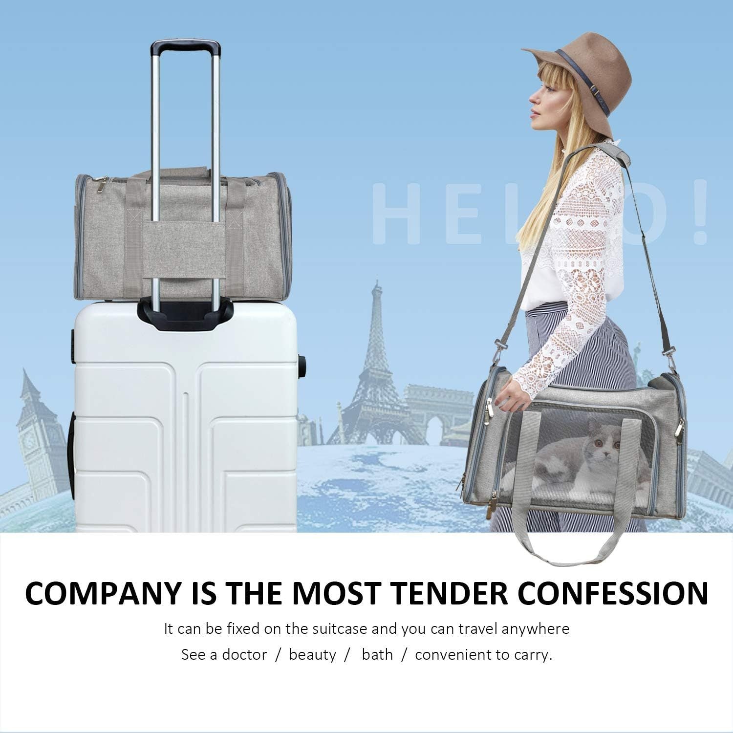 Dog Carrier For Small Medium Cats Puppies Up To 15 Lbs Carrier Soft Sided, Collapsible Travel Puppy Carrier Grey