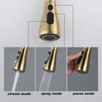 Single Handle Stainless Steel Kitchen Sink Faucet with Pull Down Sprayer