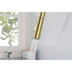 Kitchen Faucet with Pull Down Sprayer