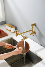 Wall mounted Pot Filler Faucet, Modern Brass Pot Filler Two-Attachment Wall Mount Folding Kitchen Pot Filler Swing Arm
