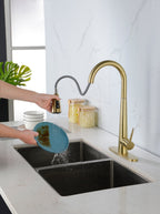 Single Handle Stainless Steel Kitchen Sink Faucet with Pull Down Sprayer