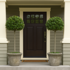 English Laurel Topiary (Single Ball)