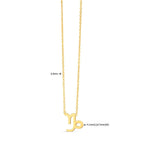 14K Yellow Gold Capricorn Necklace