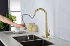 Single Handle Stainless Steel Kitchen Sink Faucet with Pull Down Sprayer