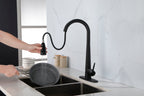 Single Handle Stainless Steel Kitchen Sink Faucet with Pull Down Sprayer