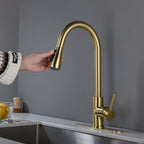 Single Handle Stainless Steel Kitchen Sink Faucet with Pull Down Sprayer