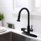 3-in-1 High-Arc Kitchen Faucet with Press-Type Glass Rinser, Pull-Down Sprayer, Matte Black Finish, Stainless Steel & ABS Construction, for Modern Sink