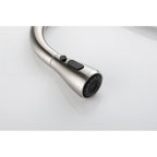 Single Handle Kitchen Sink Faucet with Pull Out Sprayer