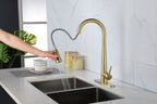 Single Handle Stainless Steel Kitchen Sink Faucet with Pull Down Sprayer