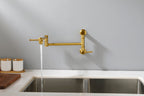Wall mounted Pot Filler Faucet, Modern Brass Pot Filler Two-Attachment Wall Mount Folding Kitchen Pot Filler Swing Arm