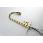 Single Handle Stainless Steel Kitchen Sink Faucet with Pull Down Sprayer