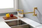 Wall mounted Pot Filler Faucet, Modern Brass Pot Filler Two-Attachment Wall Mount Folding Kitchen Pot Filler Swing Arm
