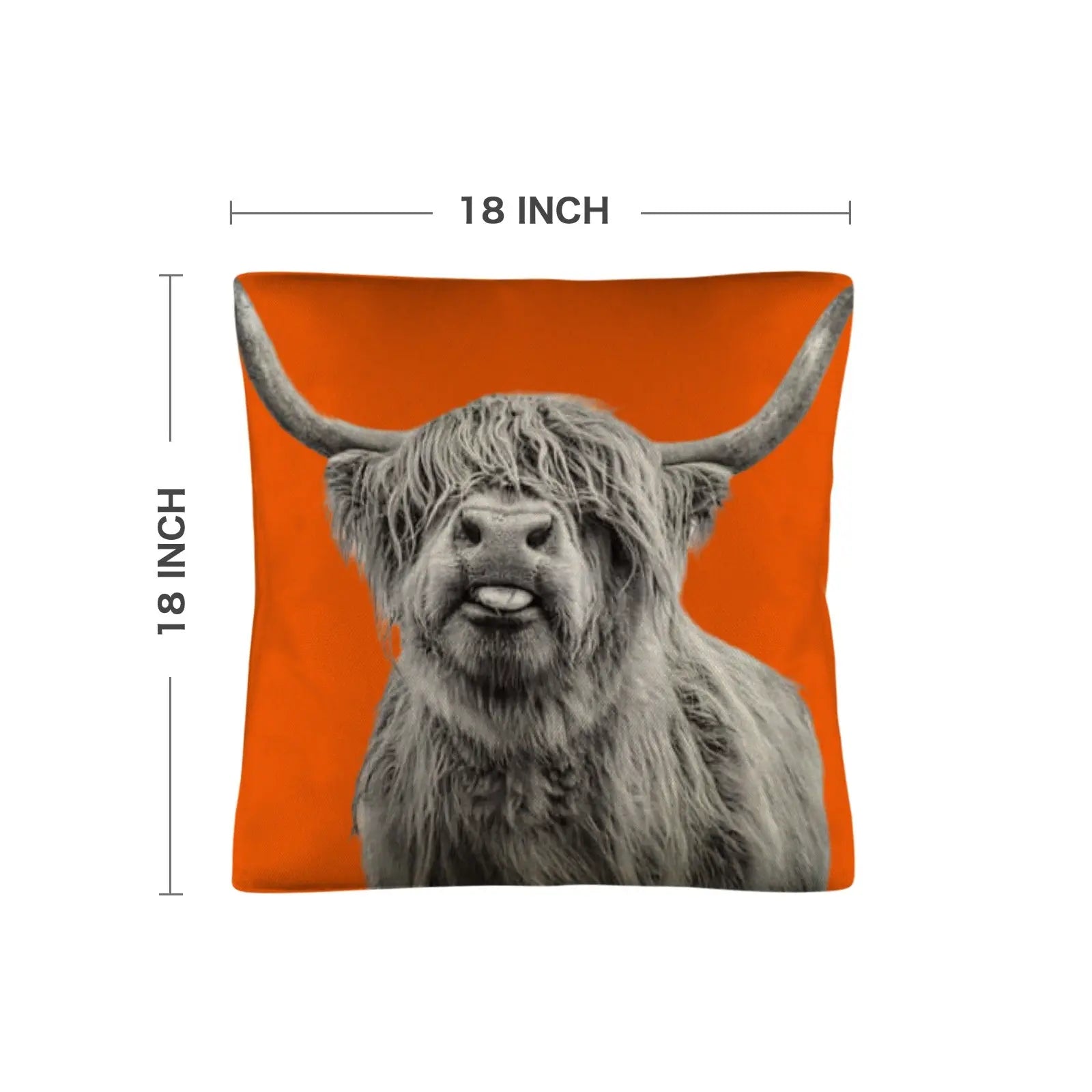 Silly HIghland Throw Pillow Case Made in America Baha Ranch Western Wear