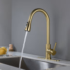 Single Handle Stainless Steel Kitchen Sink Faucet with Pull Down Sprayer