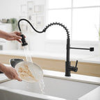 Kitchen Faucet with Pull Down Sprayer Black Stainless Steel Single Handle Pull Out Spring Sink Faucets