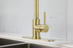 Kitchen Faucet with Pull Down Sprayer