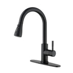 Kitchen Faucet with Pull Out Spraye