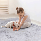 NAAR MAVAL Gold Washable Rug 5x8 Area Rug (Gray+Gold, 5' x 8')