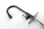 Kitchen Faucet with Pull Out Spraye