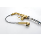 Single Handle Kitchen Sink Faucet with Pull Out Sprayer