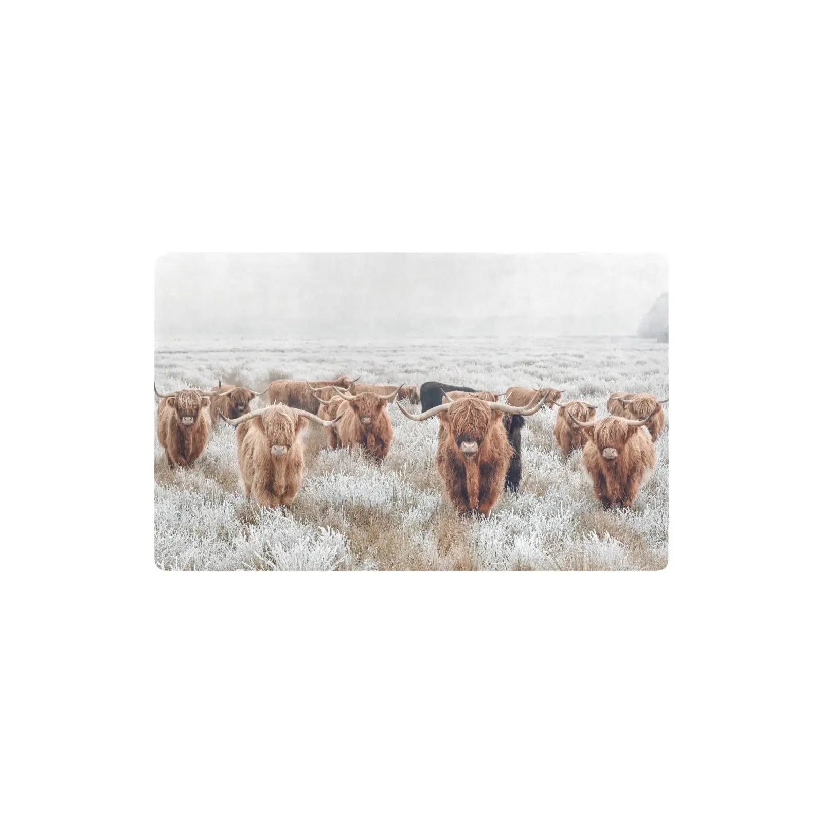 Highland Cow Herd Floor Mat Kitchen Mat 32"x20" Made in America Baha Ranch Western Wear